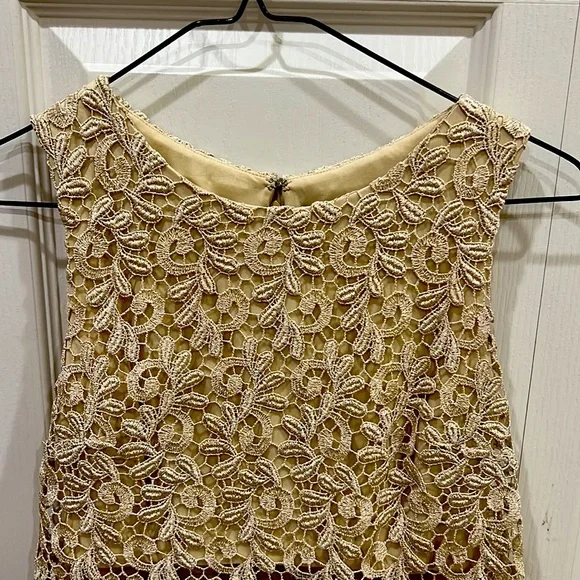 Caché dress, tan and gold color, good condition - Picture 2 of 7